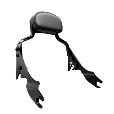Sissy Bar